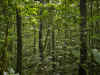 Ple6.jpg (514211 byte)