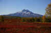 Kamchatka8.jpg (706382 byte)