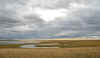 Dauria.jpg (41766 byte)
