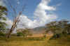 Ngorongoro10.jpg (259832 byte)