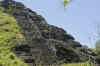 Tikal2.jpg (461472 byte)