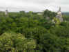 Tikal5.jpg (362546 byte)