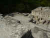 Calakmul10.jpg (371844 byte)
