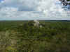 Calakmul7.jpg (378102 byte)