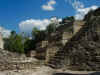 Calakmul9.jpg (337923 byte)