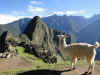 MachuPicchu15.jpg (308198 byte)