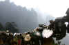 Huangshan10.jpg (127749 byte)