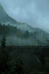 Huangshan4.jpg (133192 byte)
