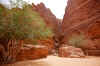 WadiRum9.jpg (287615 byte)